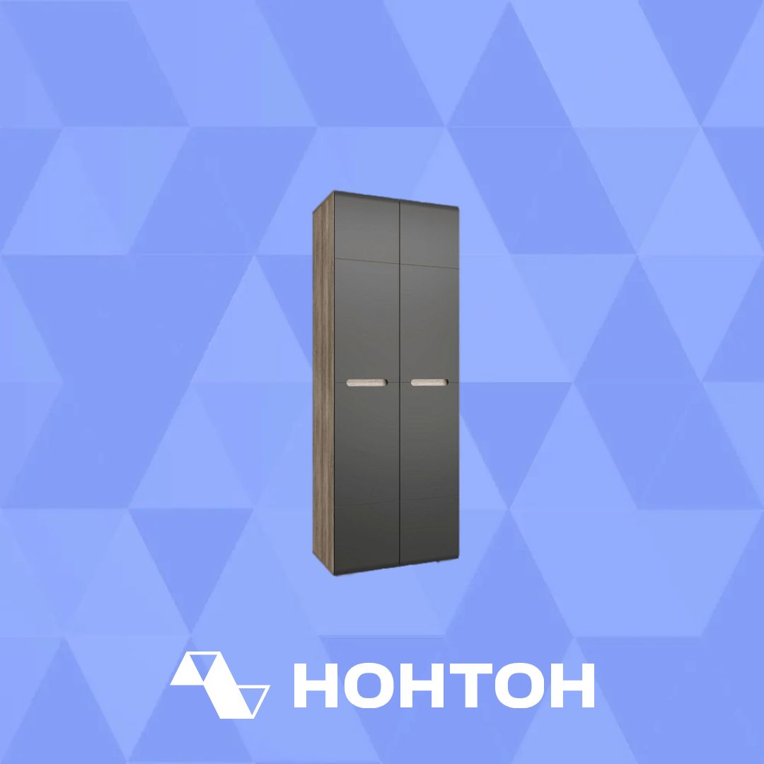 Шкаф 2-дверный Наоми дуб каньон / графит